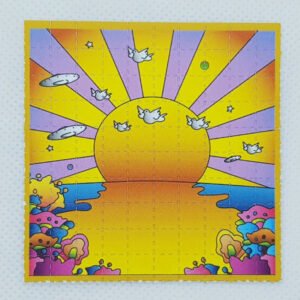 California Sunshine Mini Blotter Art