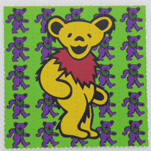 Grateful Dead Bears Mixed Mini Blotter - 5 Different Colors