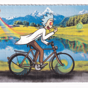 Rick & Morty Bike Day Blotter Art by Russ Holmes - #50 of 50 (2021)